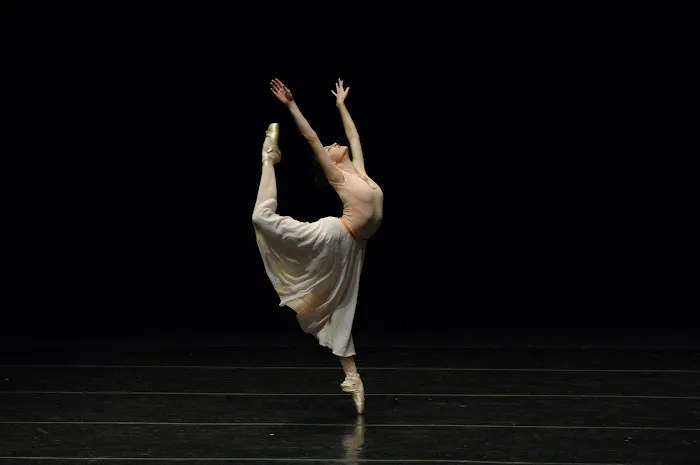 Austin School of Classical Ballet Picture 5
