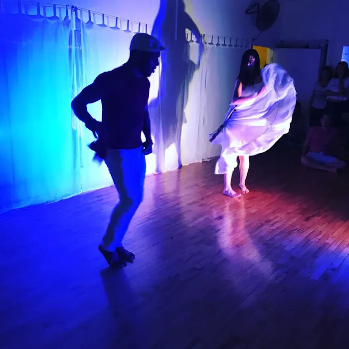 Danzversity Picture 4