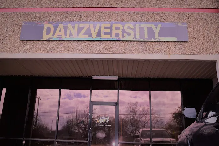 Danzversity Picture 3