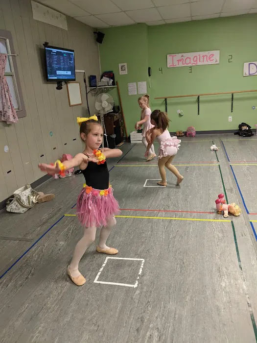 Dance-N-Groove Picture 10