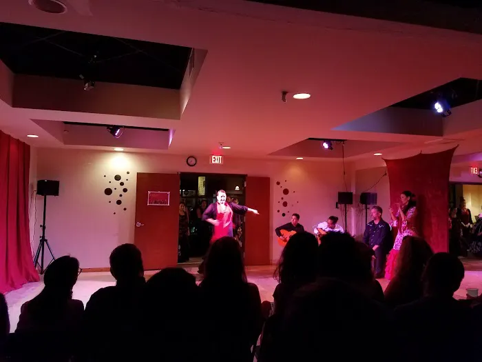 Flamencura Music and Dance Picture 4