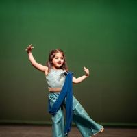 Austin Flamenco Academy ico