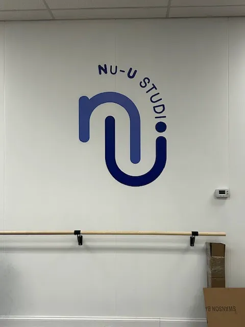 Nu-U Studio by Pole & Performance, LLC Picture 5