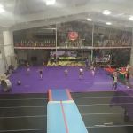 Courage Cheer And Dance