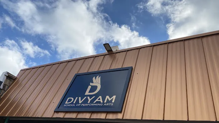 Divyam School of Performing Arts Picture 4