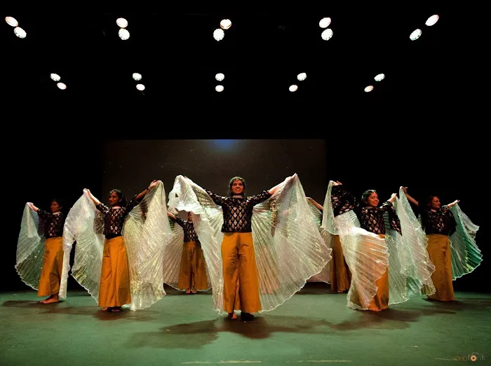 Agni Bollywood Dance Austin Picture 9