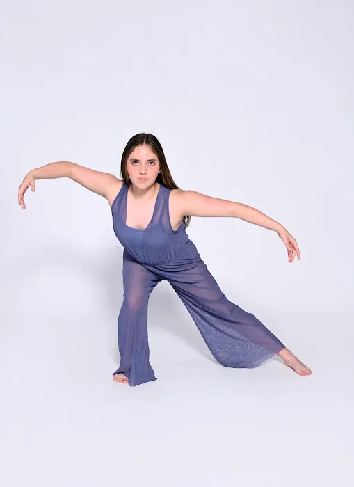 Performing Arts Studio Picture 4