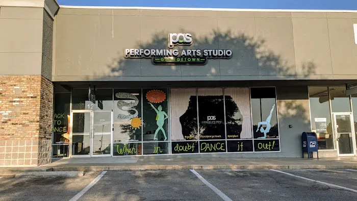 Performing Arts Studio Picture 7