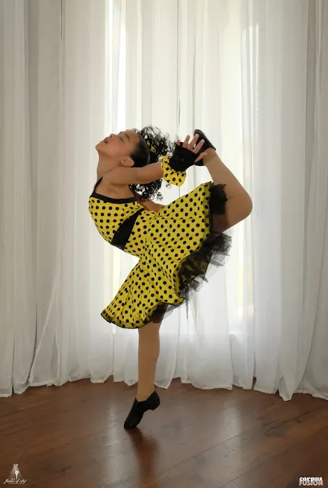 The Jewel of Art Dance Studio Picture 1