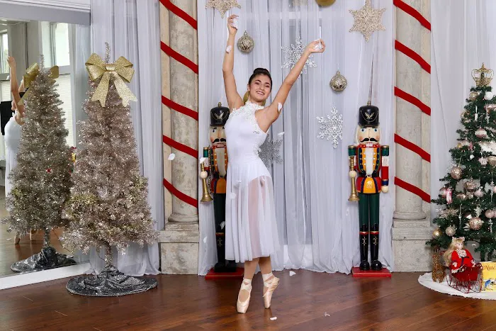 The Jewel of Art Dance Studio Picture 10