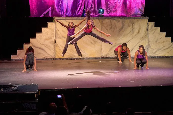 Essence of Dance Picture 4