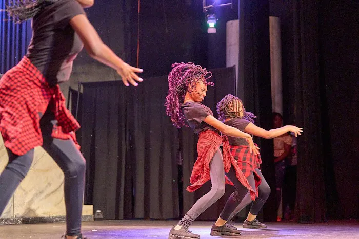 Essence of Dance Picture 2