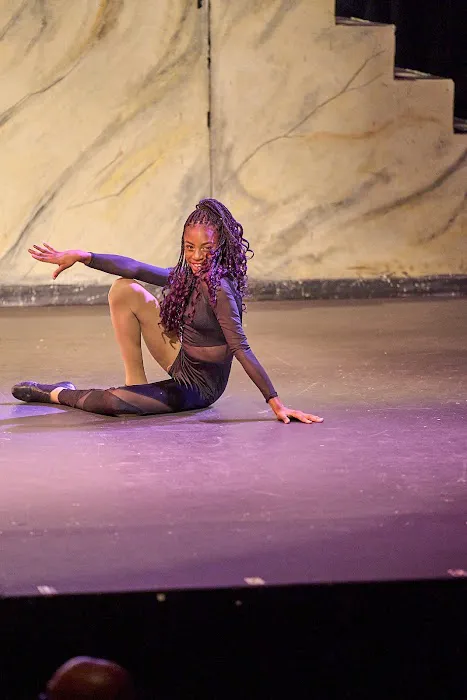 Essence of Dance Picture 6