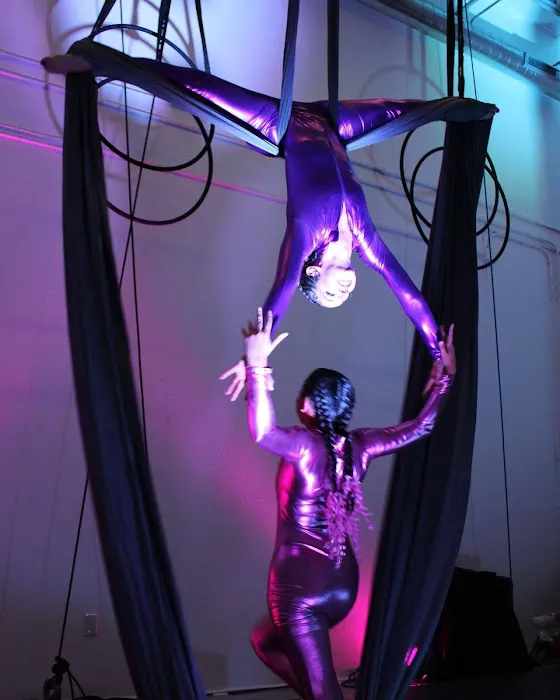 The Aerium Picture 5