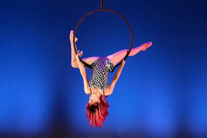 The Aerium Picture 9