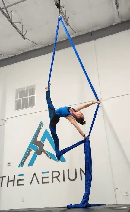 The Aerium Picture 2