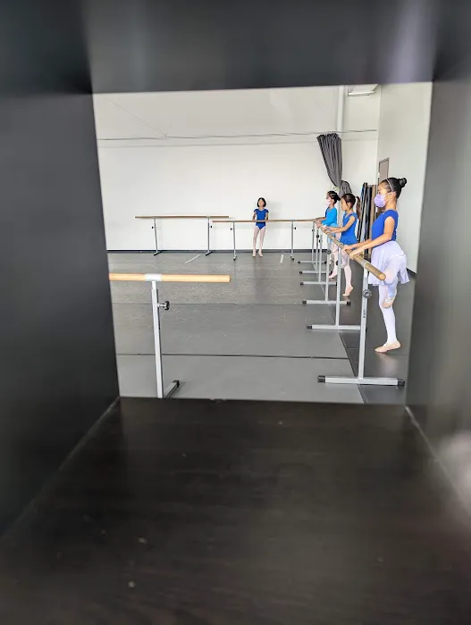 Nana Ballet Picture 8