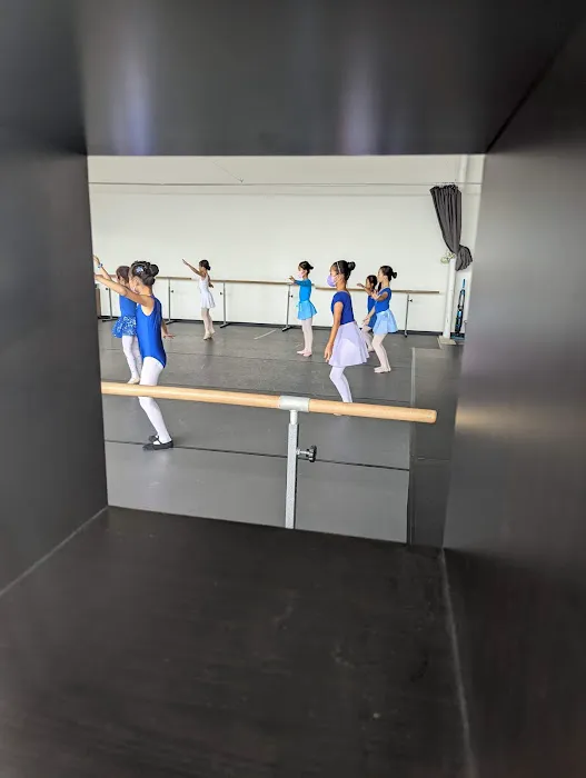 Nana Ballet Picture 9