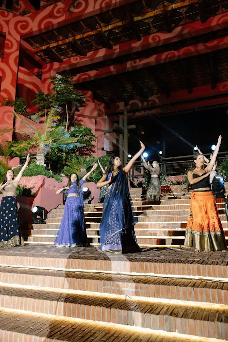 SAAYA Performing Arts Picture 2
