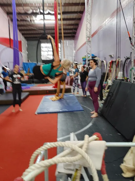 Bat City Circus Picture 1