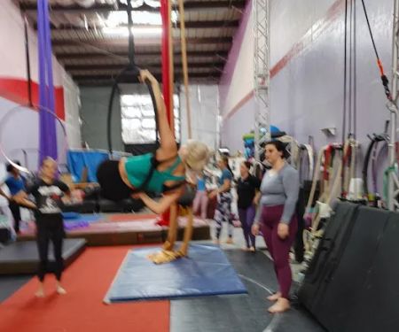 Bat City Circus