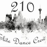 210 Elite Dance Co. ico