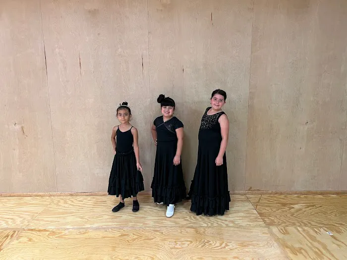 Image Dance Company & Academy, LLC Picture 5
