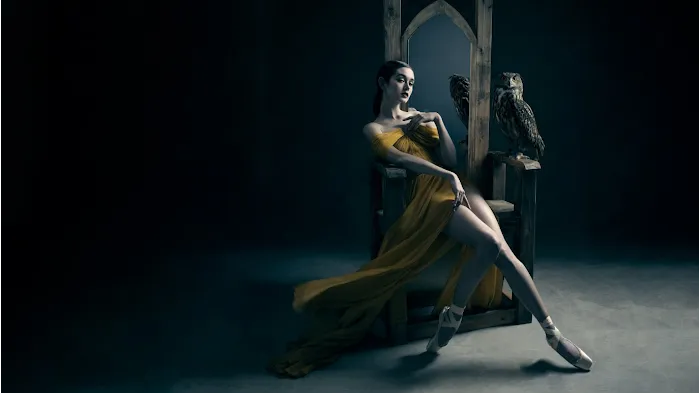 American Contemporary Ballet Picture 8