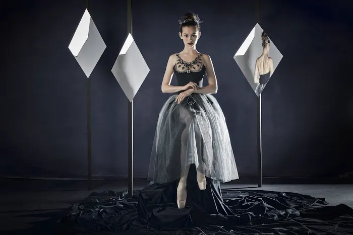 American Contemporary Ballet Picture 4