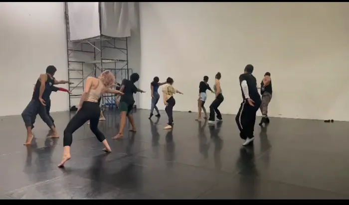 Brockus Project Dance Picture 5
