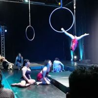 Brockus Project Dance ico