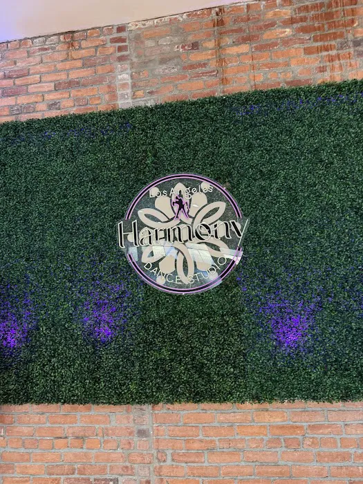 Harmony Dance Studio Picture 10