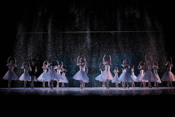 Marat Daukayev School of Ballet Picture 7