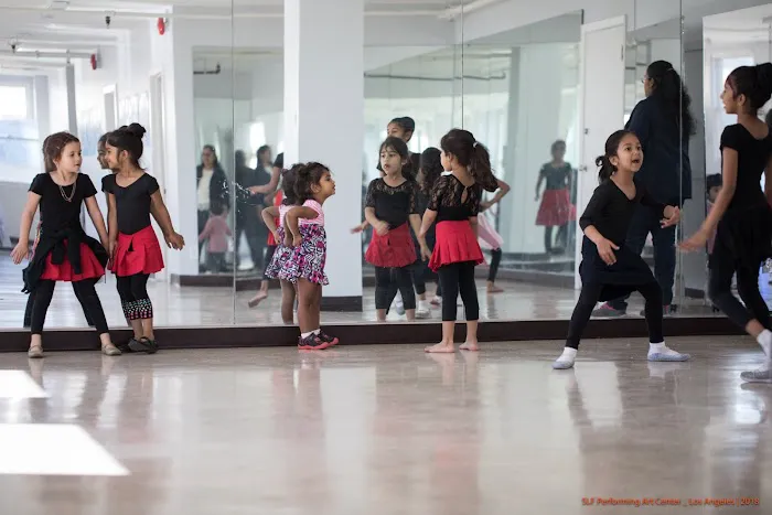 Academy of Performing Arts by Sri Lanka Foundation Intl. Picture 4