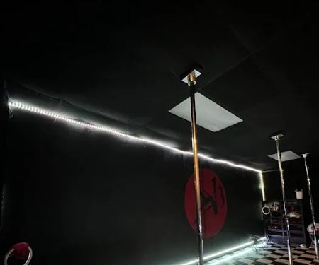 Red's Studio