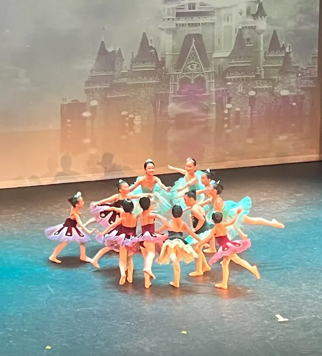jean ballet Picture 3