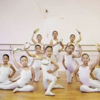 Toe Toe Ballet LA 발레학원 ico