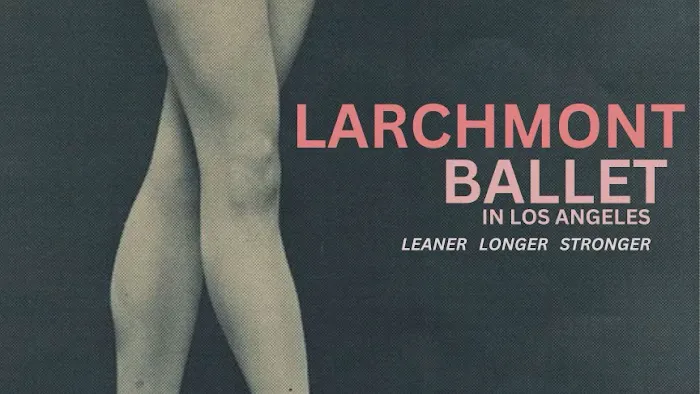 Larchmont Ballet Picture 6