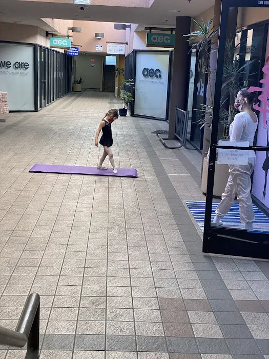 DanceFit Picture 2