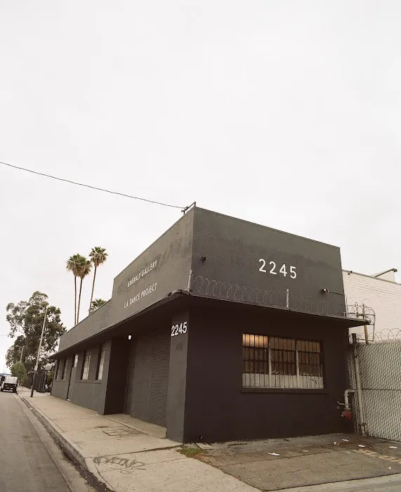 L.A. Dance Project Picture 8