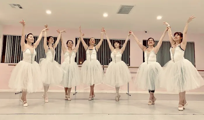 Preston Li's Academy of Dance Picture 5