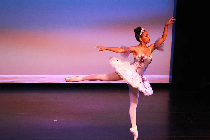 Preston Li's Academy of Dance Picture 4