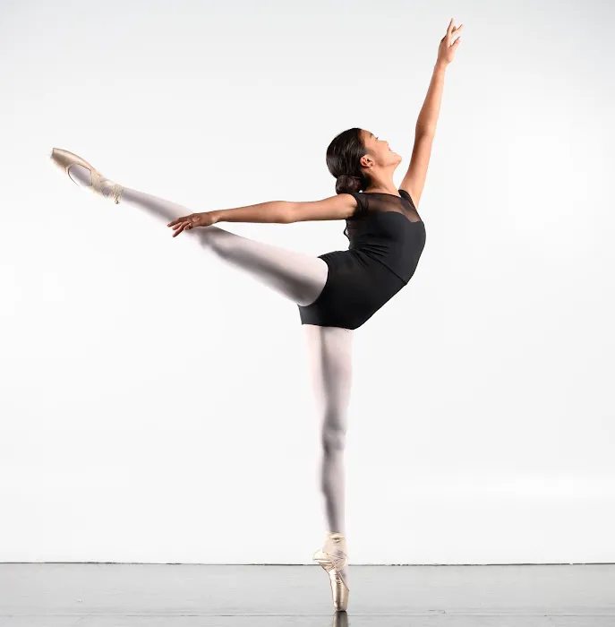 Preston Li's Academy of Dance Picture 2