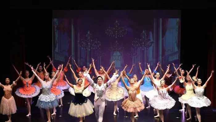 Preston Li's Academy of Dance Picture 6