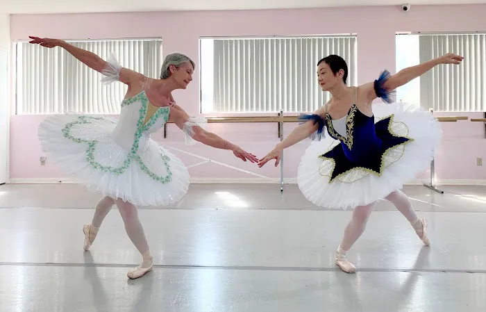 Preston Li's Academy of Dance Picture 7