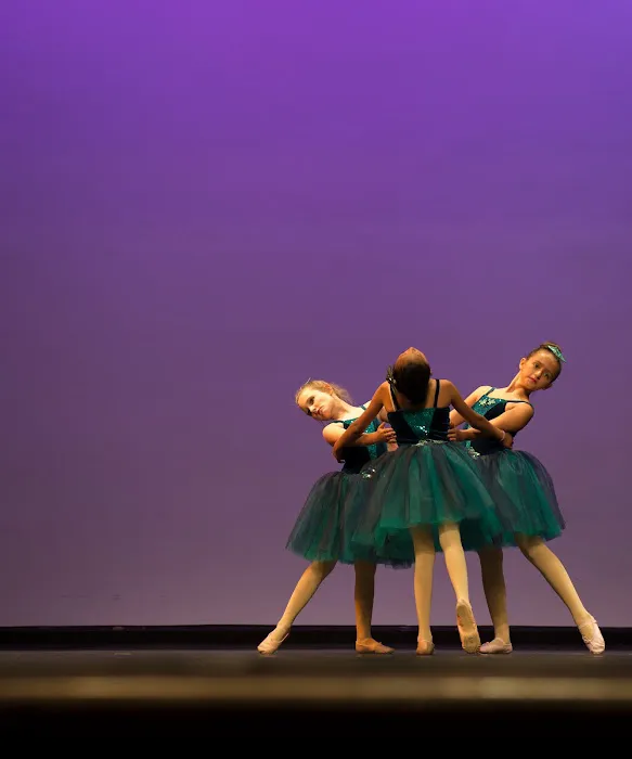 Bloom School of Music and Dance Picture 4
