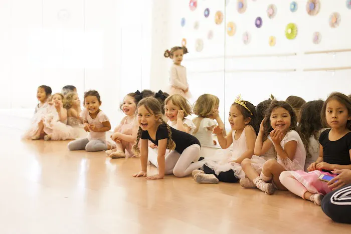 Reach For The Barres Picture 10