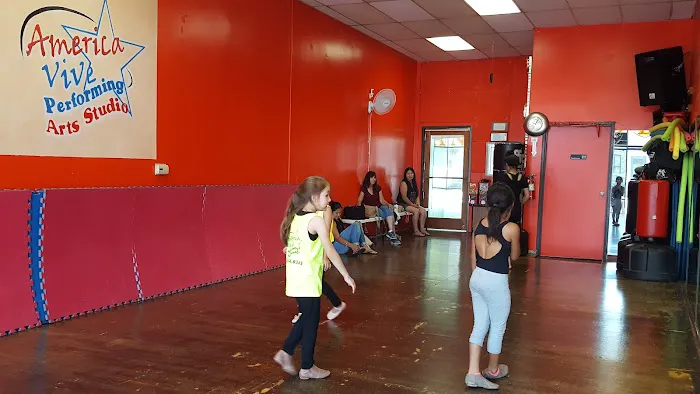 America Vive Dance/Zumba Fitness/Martial ARTS Studio Picture 1