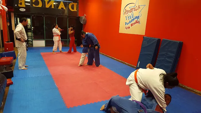America Vive Dance/Zumba Fitness/Martial ARTS Studio Picture 10