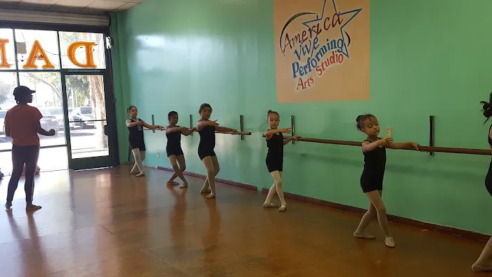 America Vive Dance/Zumba Fitness/Martial ARTS Studio Picture 8